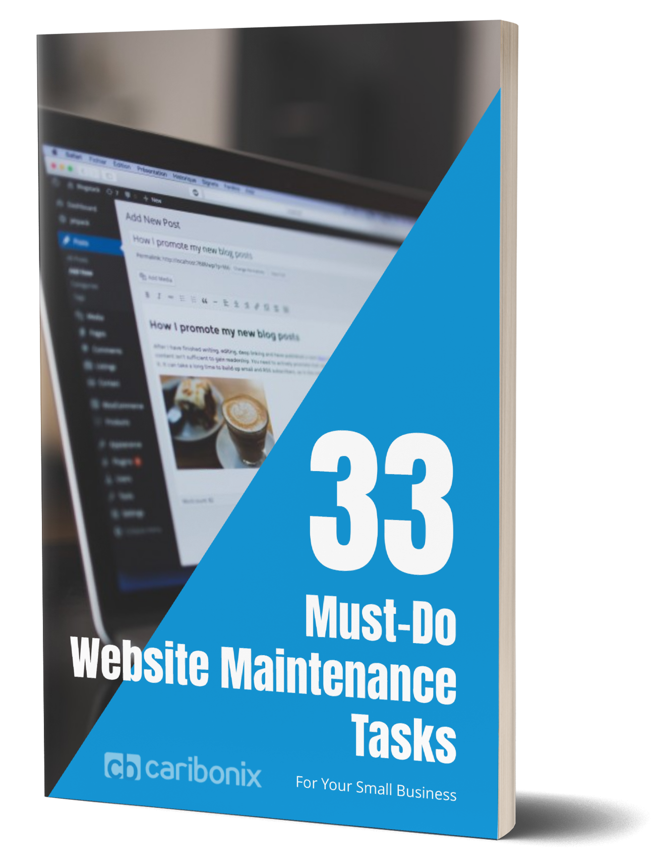 Free Checklist - 33 Must-do WordPress Website Maintenance and Security Tasks