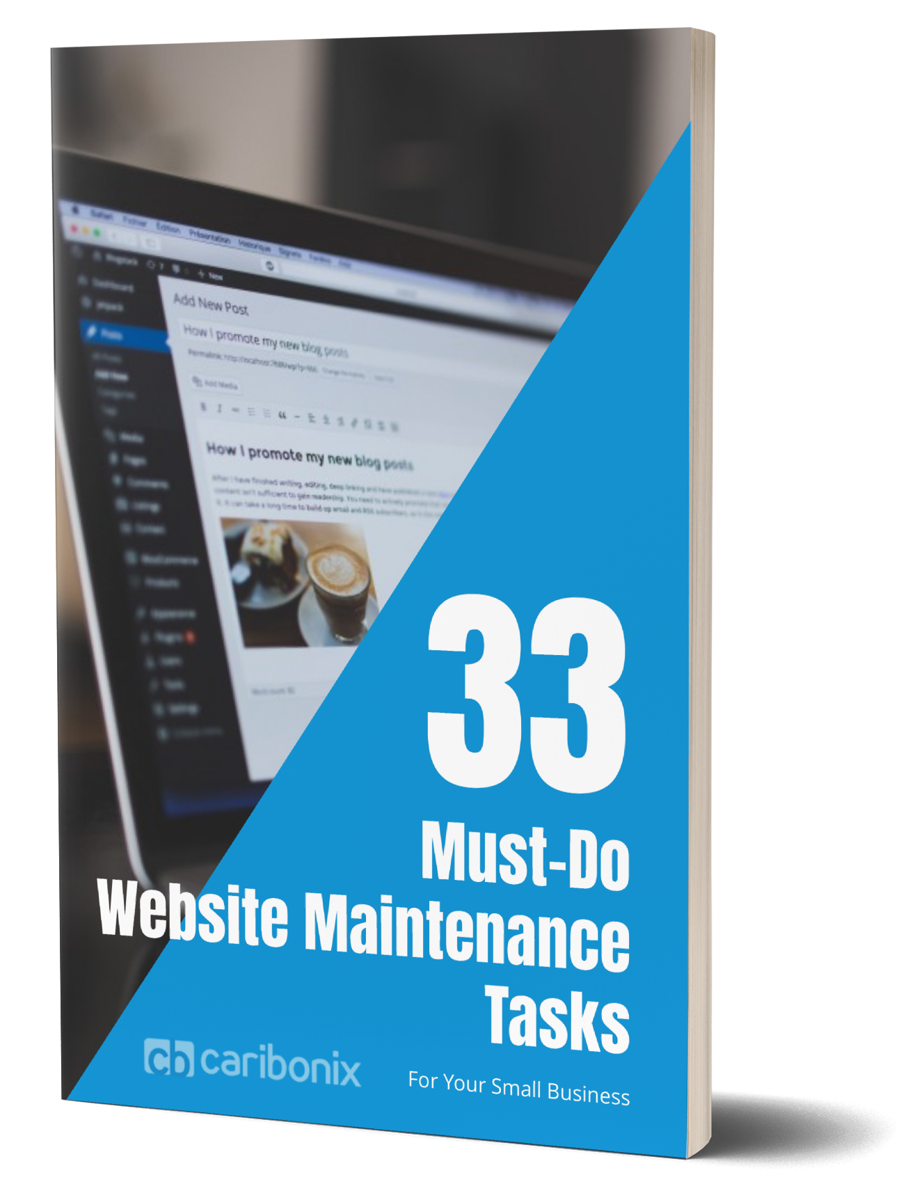 Free Ebook - 33 Must-do WordPress Website Maintenance and Security Tasks